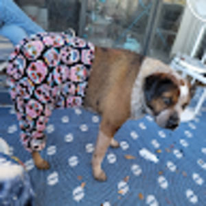 Meet your Posher, Jamie